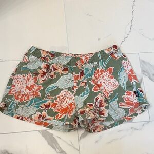 Patagonia Baggies Shorts